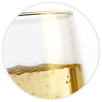 Champagne Holiday